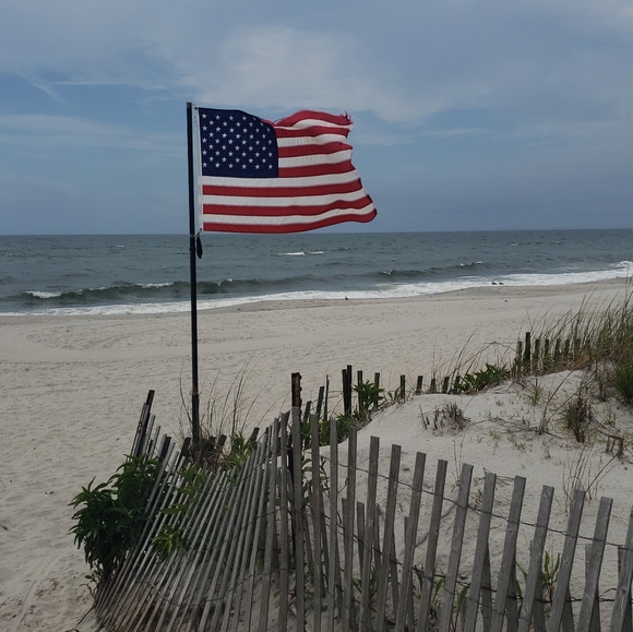 Meet your Posher, Venus - Picture 6 of 9